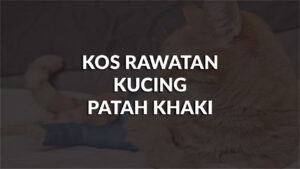 kos rawatan kucing patah kaki terkini di all klinik malaysia