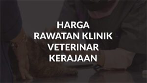 harga rawatan klinik veterinar kerajaan terkini, compare