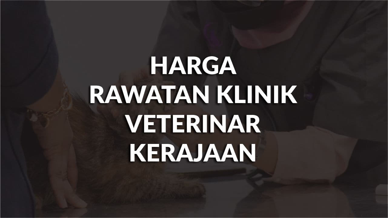 harga rawatan klinik veterinar kerajaan terkini, compare