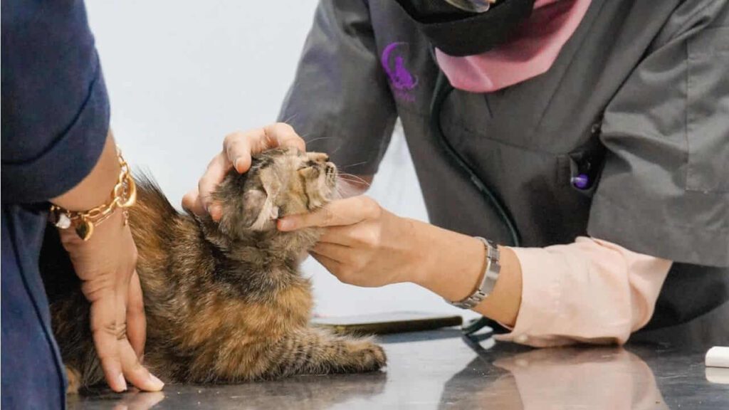 perbandingan kos rawatan antara klinik veterinar kerajaan dan swasta